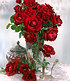 Delbard Parfum-Rose "Le Rouge et le Noir®",1 Pflanze (3)