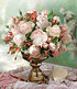 Delbard Rose der Liebe "Madame Figaro®",1 Pflanze (3)