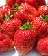 Erdbeere "Sweet Mary XXL®",3 Pflanzen (3)