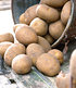 Kartoffel-Raritäten-Kollektion,2x2,5 kg + 25 Knollen (3)