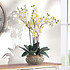 Kunstpflanze Orchideentopf (3)