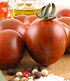 Lieblings-Tomate "Venusbrust",1 Pflanze (3)
