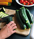 Topf-Zucchini "Easy Pick Green®" F1,2 Pflanzen (3)