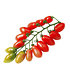Veredelte Pflaumen-Tomate "Trilly" F1,2 Pflanzen (3)